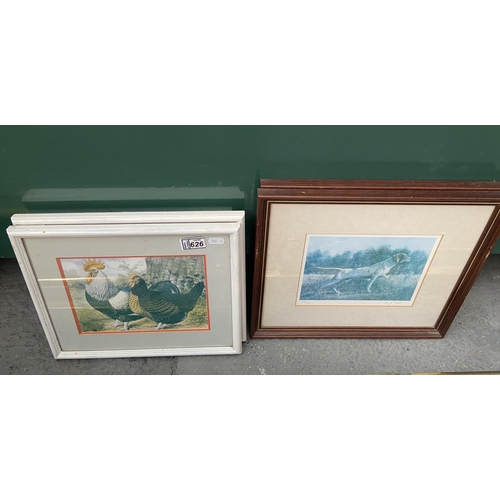 626 - Framed and glazed poultry prints etc