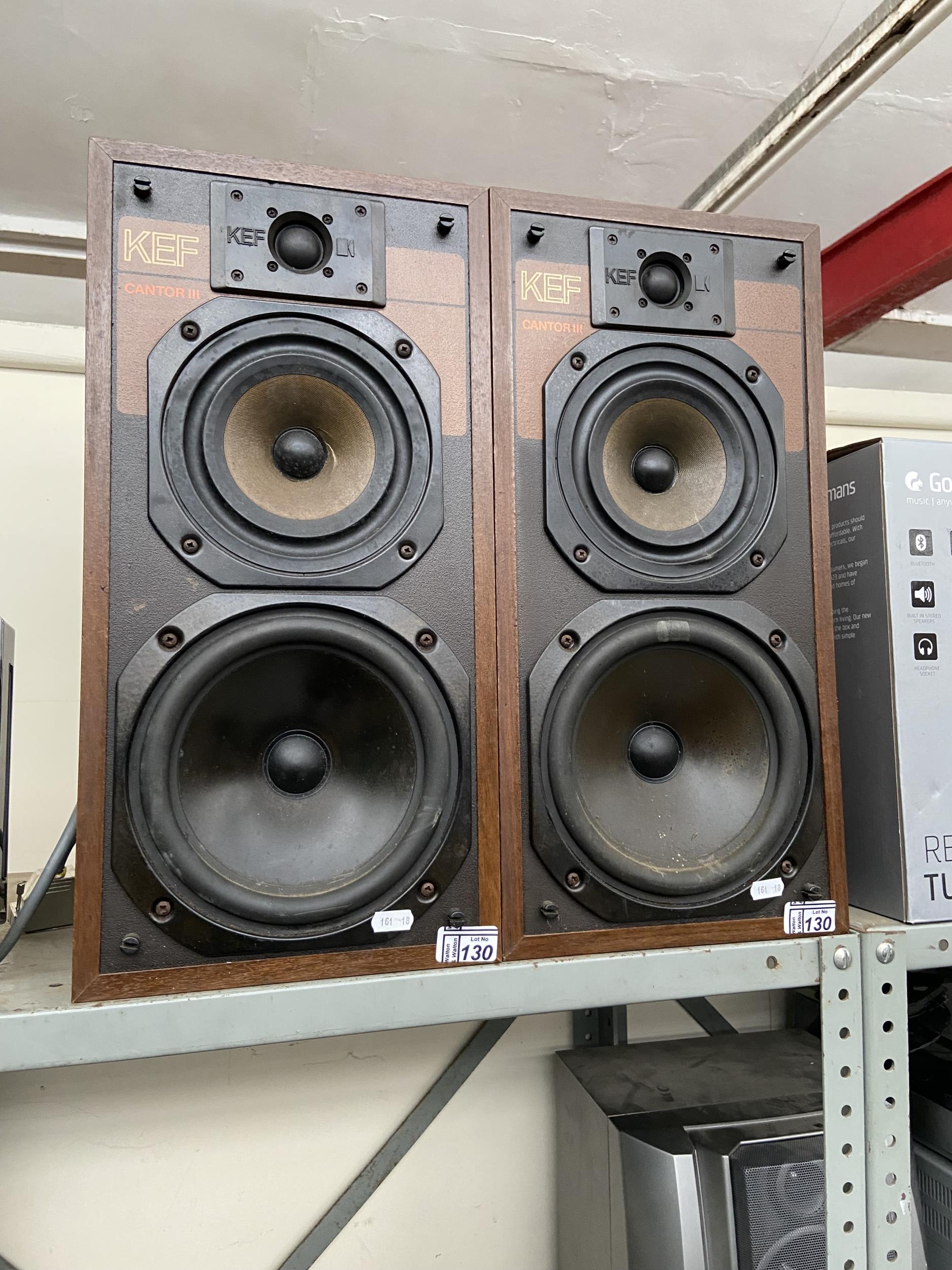 Kef 2024 cantor speakers