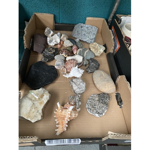 539 - Box containing rock samples and shells