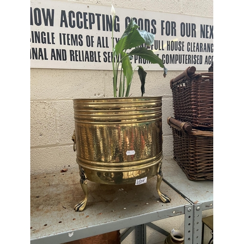 34 - Brass coal bucket with plant