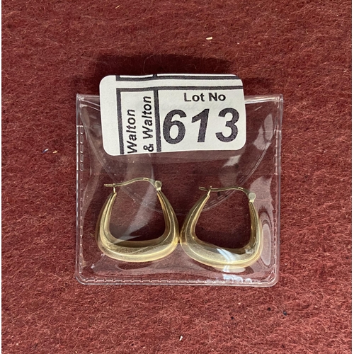 613 - Pair of 9ct gold earrings - Only 10% buyer's premium