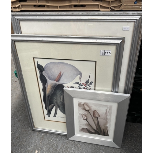 115 - 3 Framed and glazed floral prints