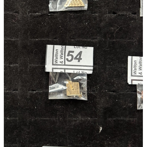Lot 54        