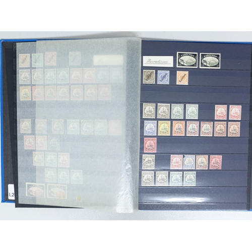 33 - Misc. Lots & Collections GERMAN COLONIES 1897/1914 mint & used coll. in stockbook with New Guinea 18... 