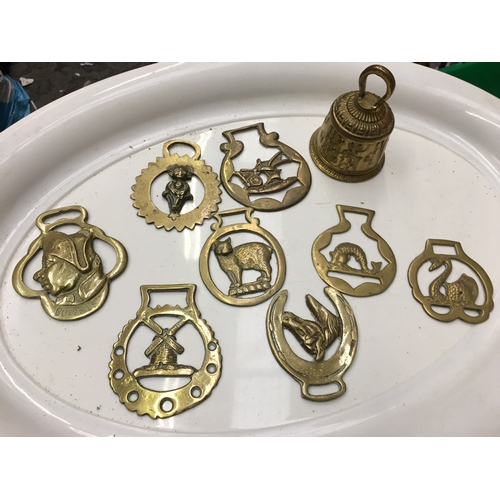 134 - NICE COLLECTION OF BRASS HORSE BRASSES & BELL WITH CLANGER