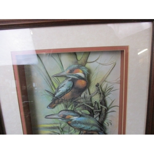 39 - LOVELY FRAMED AND GLAZED 3D  picture of Kingfishers