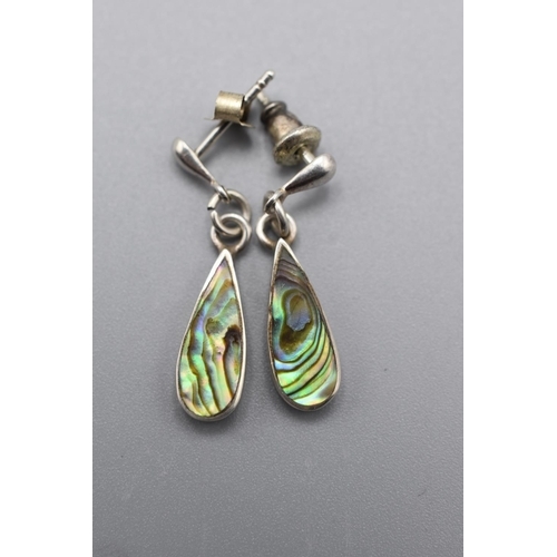 59 - Pair of Silver and Paua Shell Earrings in Presentation Box