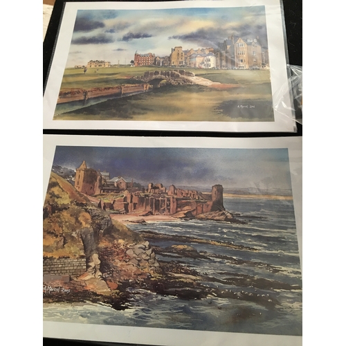 303 - TWO PRINTS OF ST ANDREWS BY A.MARCOL

L1