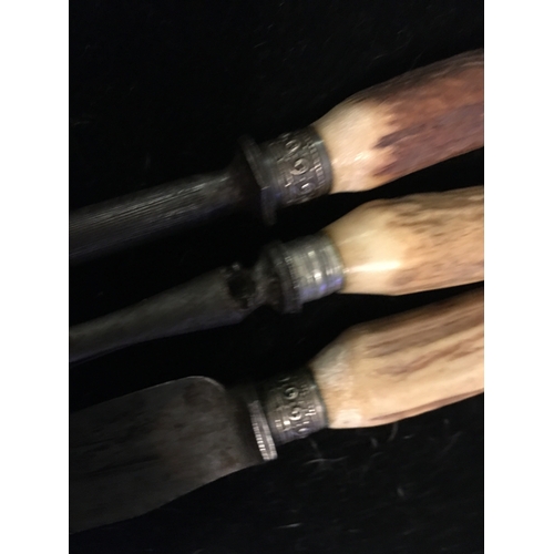 25 - NICE BONE HANDLED CARVING SET