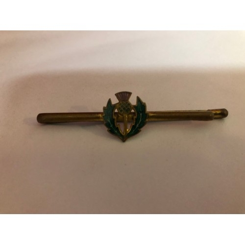 100S - Stunning Antique Brass and Enamel Thistle tie pin. Boxed