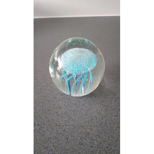 1030 - LARGE JELLYFISH PAPERWEIGHT