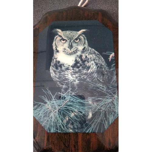 1036 - TWO OWL WALL PLAQUES