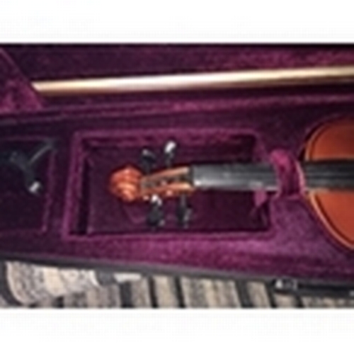 320 - FANTASTIC VIOLIN INSTRUMENT IN CARRY CASE WITH BOW AND STAND