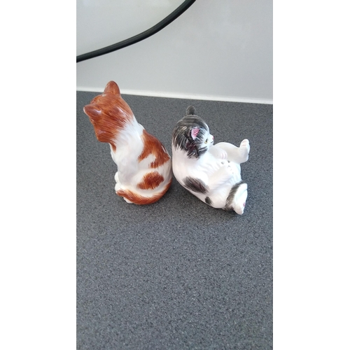 367 - BROWN AND WHITE SALT N PEPPER CAT CRUET SET