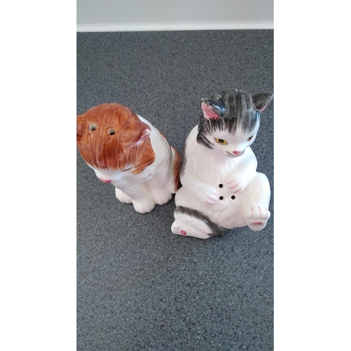 367 - BROWN AND WHITE SALT N PEPPER CAT CRUET SET