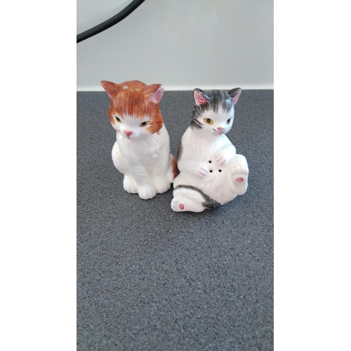 367 - BROWN AND WHITE SALT N PEPPER CAT CRUET SET