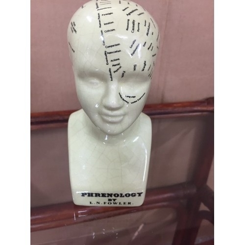 300Z - SMALL L.N. FOWLER PHRENOLOGY HEAD