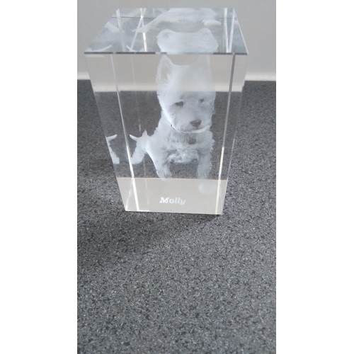 544 - GLASS PAPERWEIGHT molly engraved in the crystal with the dog