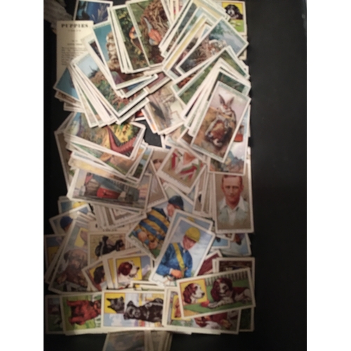 7 - BOX OF COLLECTORS TEA CARDS INCLUDING SOME FULL SETS. JOCKEYS, CRICKETERS, OVER 200