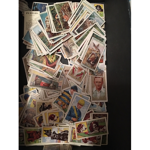 7 - BOX OF COLLECTORS TEA CARDS INCLUDING SOME FULL SETS. JOCKEYS, CRICKETERS, OVER 200