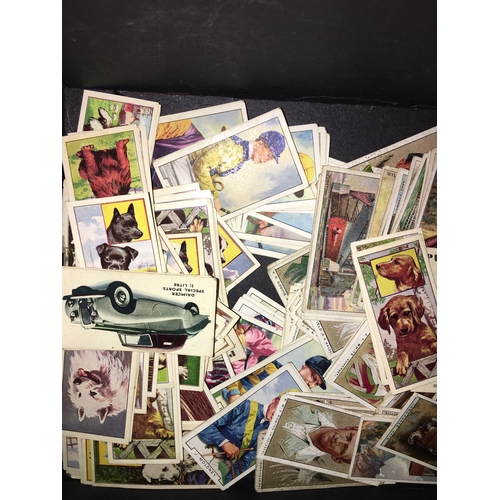 7 - BOX OF COLLECTORS TEA CARDS INCLUDING SOME FULL SETS. JOCKEYS, CRICKETERS, OVER 200