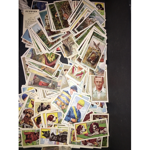 7 - BOX OF COLLECTORS TEA CARDS INCLUDING SOME FULL SETS. JOCKEYS, CRICKETERS, OVER 200