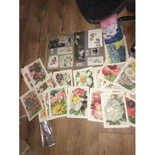 18 - FANTASTIC SELECTION OF EPHEMERA INCLUDING XMAS SCRAP BOOK OF VINTAGE CARDS AND VINTAGE FLOWER PICTUR... 