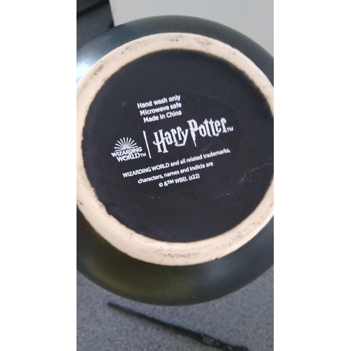 481 - HARRY POTTER HOGWARTS CAULDRON