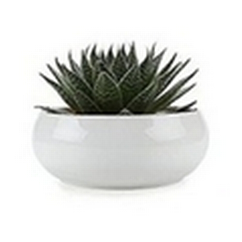 155 - TWO YES 2 NEW 16.5CM Ceramic White Round Simple Design Succulent Plant Pot