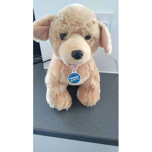 500B - Build a bear