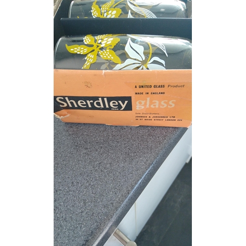 527 - BOXED SET OF SHERDLEY VINTAGE GLASSES