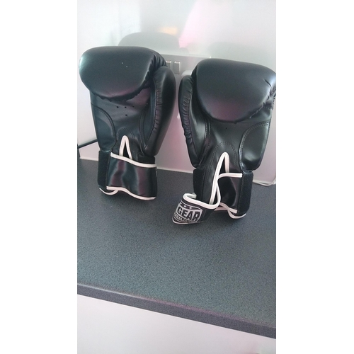 677 - DUO BOXING GLOVES