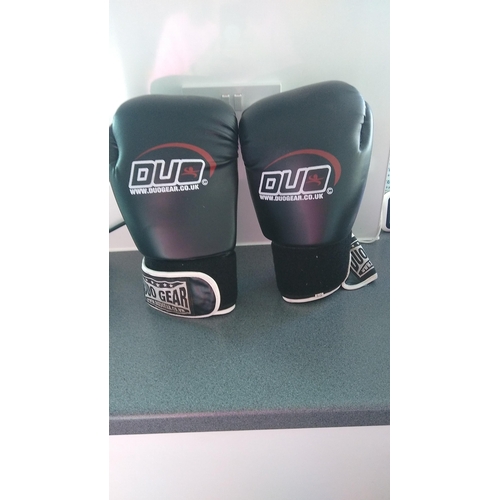 677 - DUO BOXING GLOVES