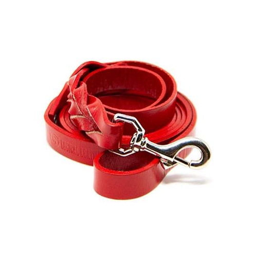 104 - NEW BOXED LEATHER DOG COLLER IN RED X SMALL