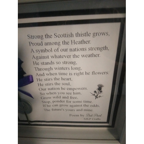 552 - FRAMED SCOTTISH THISTLE POEM