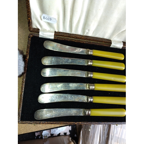 406 - VERY NICE BOXED SET OF VINTAGE BUTTER KNIVES