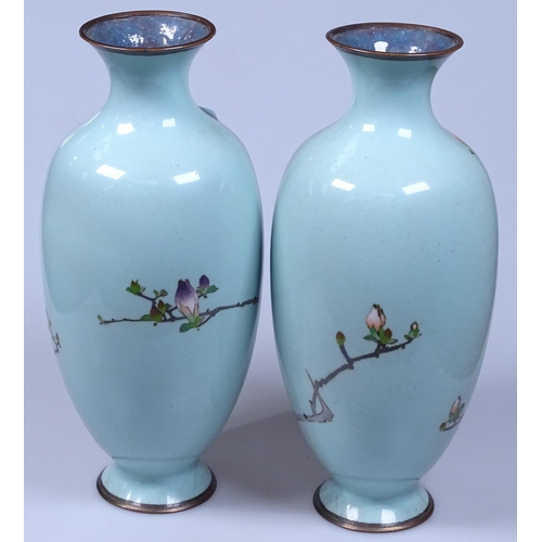 154 - A pair of cloisonne vases with floral decoration on duck egg blue ground, 12