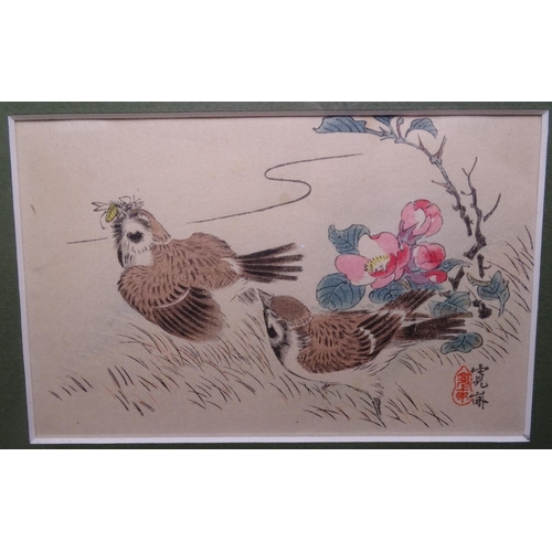 937 - A set of 6 Japanese coloured paintings, bird studies, mounted in a single frame