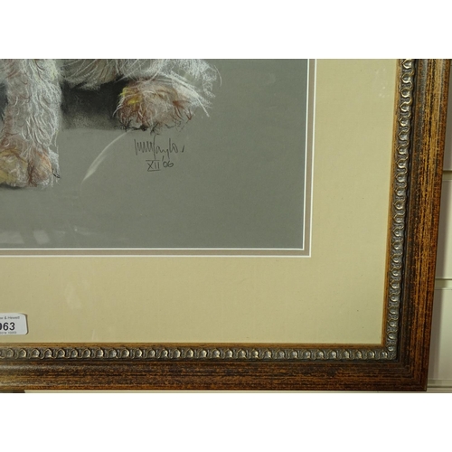 963 - Will Taylor, pastel / chalk drawing, portrait of a Spinone (Italian hunting dog), signed and dated 2... 