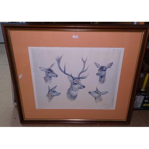 991 - 2 limited edition coloured prints, studies of deer, framed