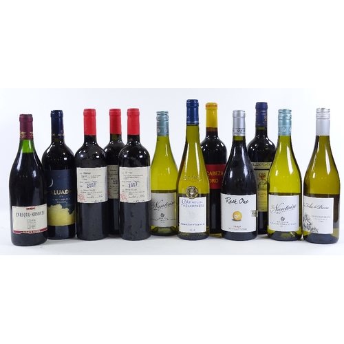 113 - 12 bottles of mixed red and white wine, European and New World