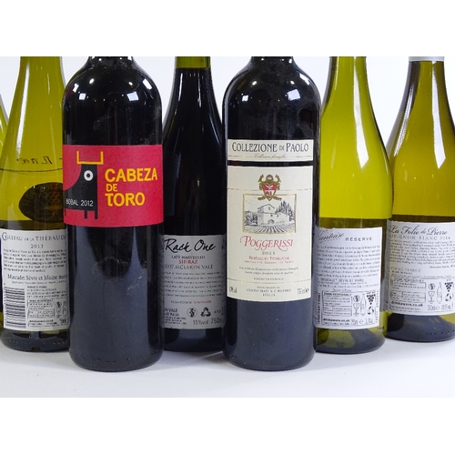 113 - 12 bottles of mixed red and white wine, European and New World