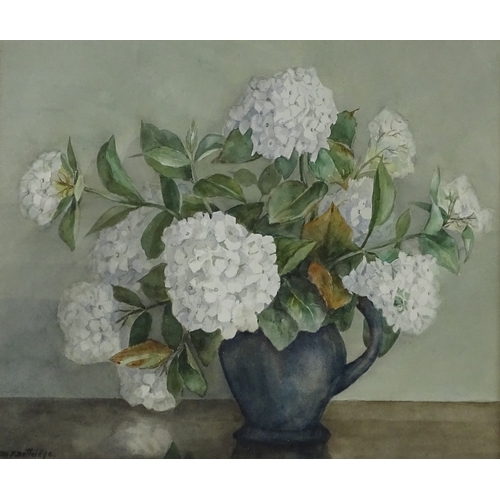 1293 - Mabel Dottridge, watercolour, still life hydrangea, circa 1950, exhibition labels verso, 13.5