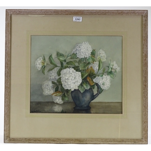 1293 - Mabel Dottridge, watercolour, still life hydrangea, circa 1950, exhibition labels verso, 13.5