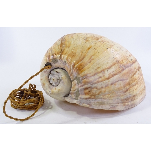 212 - A large exotic seashell converted to a wall light fitting, overall height 37cm