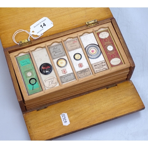 14 - A small cabinet of Antique microscope slides