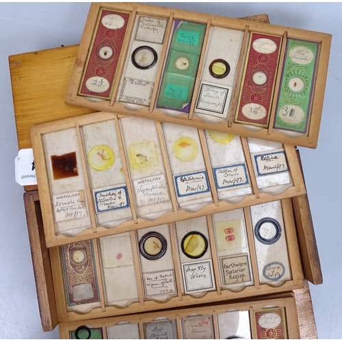 14 - A small cabinet of Antique microscope slides