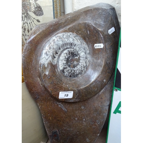 19 - A large fossilised ammonite specimen, height 19