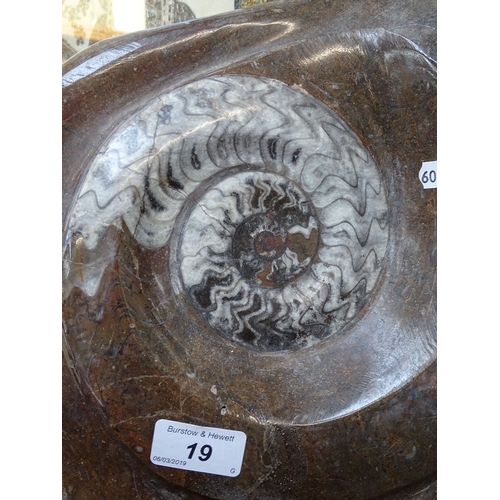 19 - A large fossilised ammonite specimen, height 19