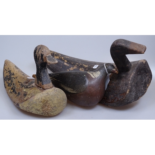 81 - 3 Antique wooden decoy ducks, largest length 15